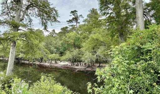 Photo #11 of 11 Gulley Ln., Salters, SC 1.0 acres