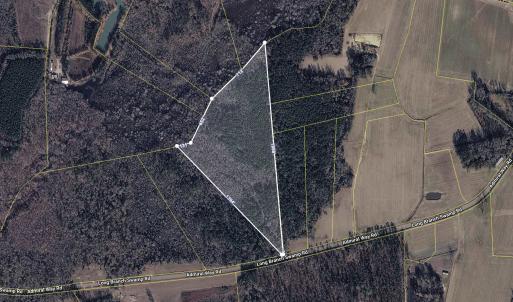 Photo #2 of TBD (Tract 1) Long Branch Swamp Rd., Green Sea, SC 20.1 acres