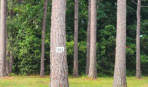 Photo #2 of 1152 Fiddlehead Way, Myrtle Beach, SC 0.4 acres