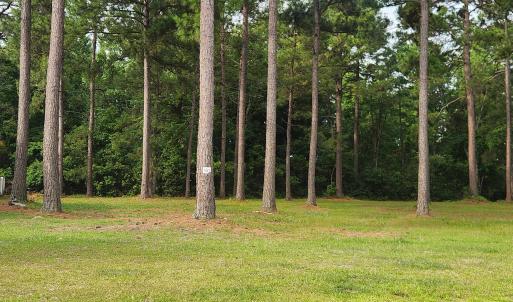Photo #3 of 1152 Fiddlehead Way, Myrtle Beach, SC 0.4 acres