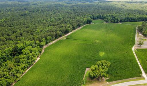 Photo #1 of TBD (Tract 6) Long Branch Swamp Rd., Green Sea, SC 60.0 acres