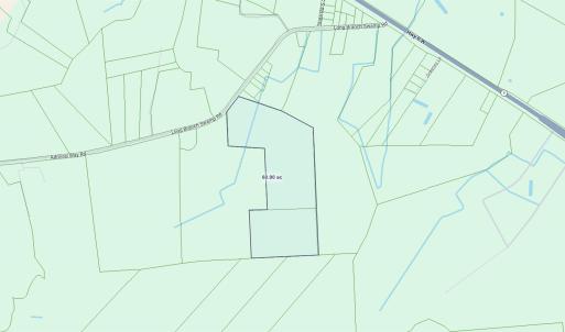 Photo #3 of TBD (Tract 6) Long Branch Swamp Rd., Green Sea, SC 60.0 acres