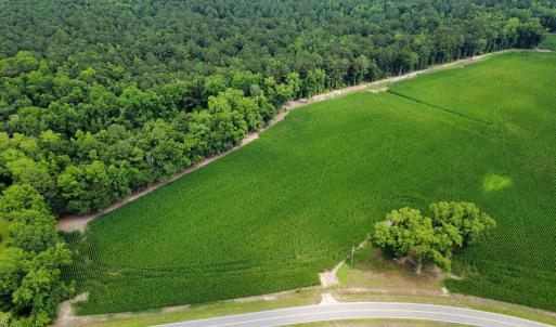 Photo #2 of TBD (Tract 6) Long Branch Swamp Rd., Green Sea, SC 60.0 acres