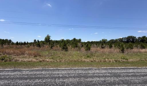 Photo #5 of Lot 3 Attadale Rd, Blenheim, SC 14.1 acres