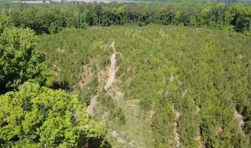 Photo #3 of Lot 3 Attadale Rd, Blenheim, SC 14.1 acres