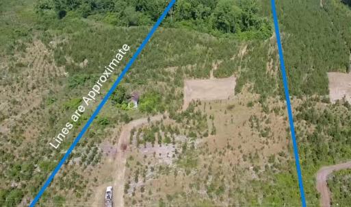 Photo #1 of Lot 3 Attadale Rd, Blenheim, SC 14.1 acres