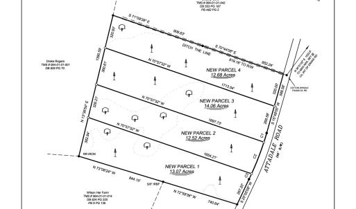 Photo #4 of Lot 3 Attadale Rd, Blenheim, SC 14.1 acres