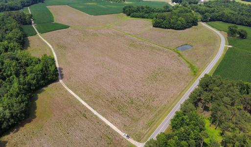 Photo #2 of TBD (Tract 3) Long Branch Swamp Rd., Green Sea, SC 20.0 acres