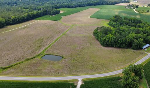 Photo #1 of TBD (Tract 3) Long Branch Swamp Rd., Green Sea, SC 20.0 acres