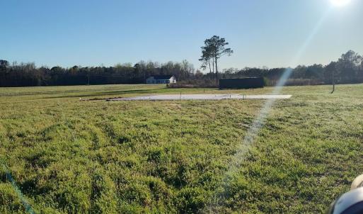 Photo #5 of 1829 Pamplico Hwy., Pamplico, SC 9.1 acres