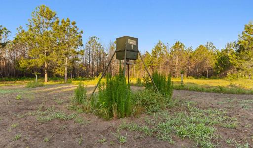 Photo #8 of 77 Acres - TBD Bert Hanna Rd., Johnsonville, SC 76.9 acres