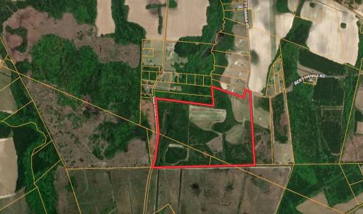 Photo #24 of 77 Acres - TBD Bert Hanna Rd., Johnsonville, SC 76.9 acres