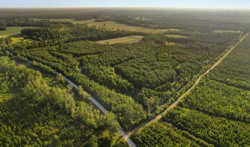 Photo #2 of 77 Acres - TBD Bert Hanna Rd., Johnsonville, SC 76.9 acres