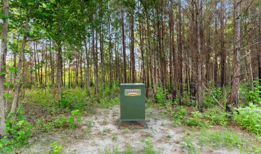 Photo #13 of 77 Acres - TBD Bert Hanna Rd., Johnsonville, SC 76.9 acres