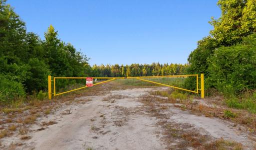 Photo #3 of 77 Acres - TBD Bert Hanna Rd., Johnsonville, SC 76.9 acres
