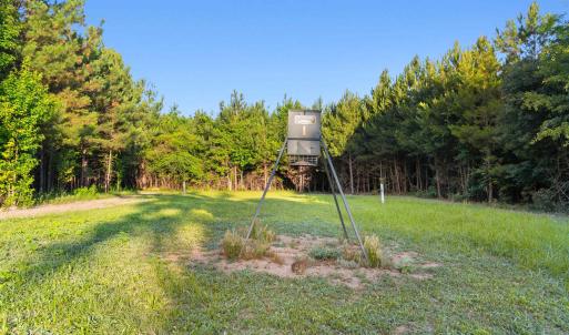 Photo #17 of 77 Acres - TBD Bert Hanna Rd., Johnsonville, SC 76.9 acres