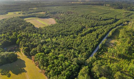 Photo #22 of 77 Acres - TBD Bert Hanna Rd., Johnsonville, SC 76.9 acres