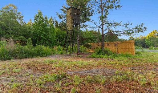 Photo #6 of 77 Acres - TBD Bert Hanna Rd., Johnsonville, SC 76.9 acres