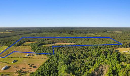 Photo #25 of 77 Acres - TBD Bert Hanna Rd., Johnsonville, SC 76.9 acres