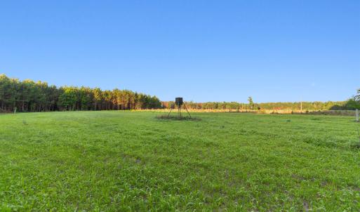 Photo #10 of 77 Acres - TBD Bert Hanna Rd., Johnsonville, SC 76.9 acres