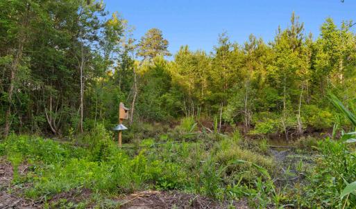 Photo #15 of 77 Acres - TBD Bert Hanna Rd., Johnsonville, SC 76.9 acres
