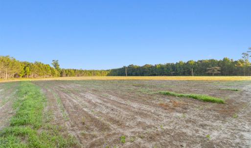 Photo #9 of 77 Acres - TBD Bert Hanna Rd., Johnsonville, SC 76.9 acres