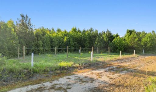Photo #23 of 77 Acres - TBD Bert Hanna Rd., Johnsonville, SC 76.9 acres