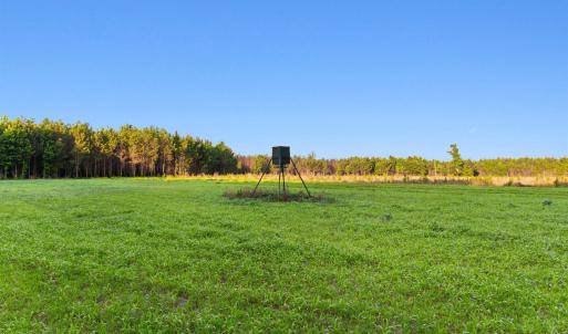 Photo #1 of 77 Acres - TBD Bert Hanna Rd., Johnsonville, SC 76.9 acres