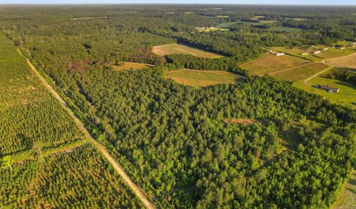 Photo #21 of 77 Acres - TBD Bert Hanna Rd., Johnsonville, SC 76.9 acres