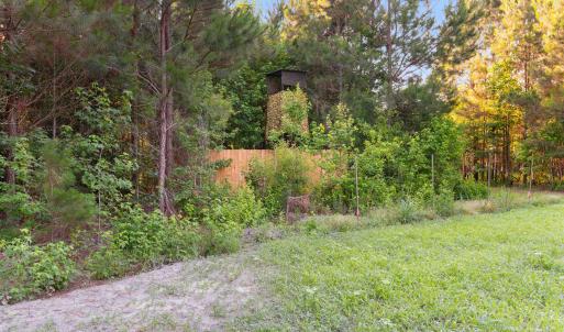 Photo #18 of 77 Acres - TBD Bert Hanna Rd., Johnsonville, SC 76.9 acres