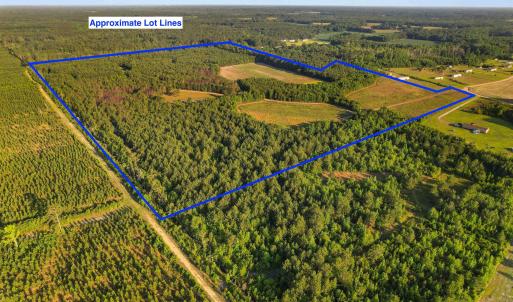 Photo #27 of 77 Acres - TBD Bert Hanna Rd., Johnsonville, SC 76.9 acres
