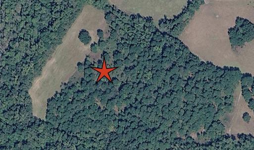 Photo #3 of tbd Not Specified, Marion, SC 7.4 acres
