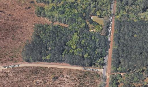 Photo #5 of TBD Hummingbird Dr., Georgetown, SC 2.0 acres