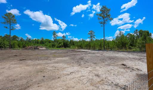 Photo #8 of Tract 4-B W G Rd., Loris, SC 7.5 acres