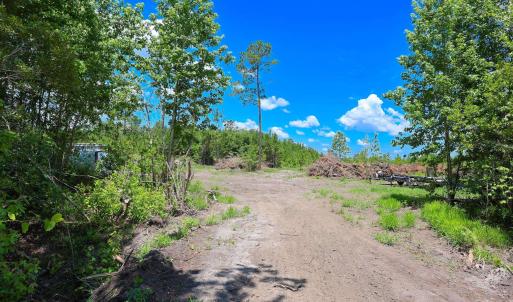 Photo #4 of Tract 4-B W G Rd., Loris, SC 7.5 acres