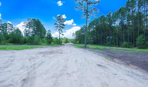 Photo #5 of Tract 4-B W G Rd., Loris, SC 7.5 acres