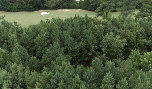 Photo #1 of 442 Pembroke Blvd., Johnsonville, SC 0.3 acres
