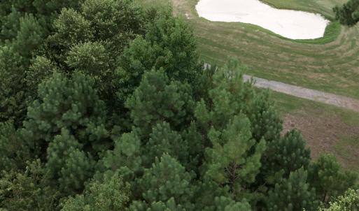 Photo #2 of 442 Pembroke Blvd., Johnsonville, SC 0.3 acres