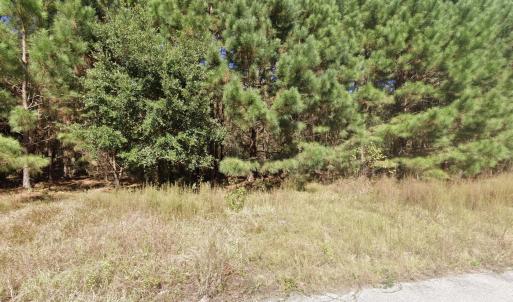 Photo #4 of 442 Pembroke Blvd., Johnsonville, SC 0.3 acres