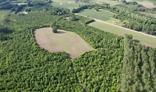 Photo #13 of 85± Acres - Muddy Creek Rd., Johnsonville, SC 85.0 acres