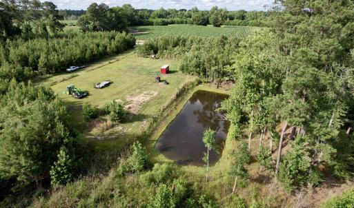 Photo #28 of 85± Acres - Muddy Creek Rd., Johnsonville, SC 85.0 acres