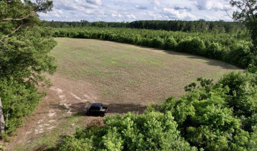 Photo #17 of 85± Acres - Muddy Creek Rd., Johnsonville, SC 85.0 acres