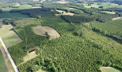 Photo #24 of 85± Acres - Muddy Creek Rd., Johnsonville, SC 85.0 acres
