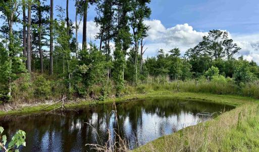 Photo #3 of 85± Acres - Muddy Creek Rd., Johnsonville, SC 85.0 acres