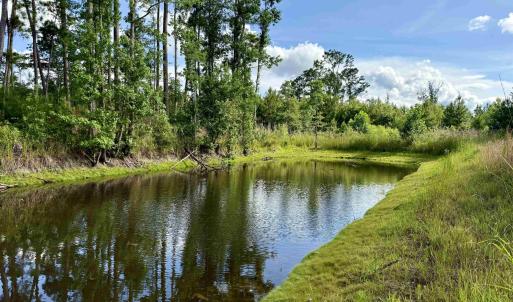 Photo #1 of 85± Acres - Muddy Creek Rd., Johnsonville, SC 85.0 acres