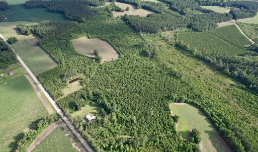 Photo #23 of 85± Acres - Muddy Creek Rd., Johnsonville, SC 85.0 acres