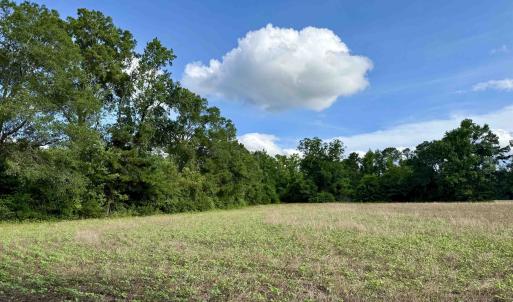 Photo #12 of 85± Acres - Muddy Creek Rd., Johnsonville, SC 85.0 acres
