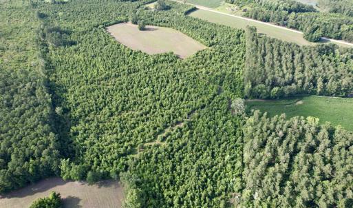 Photo #14 of 85± Acres - Muddy Creek Rd., Johnsonville, SC 85.0 acres