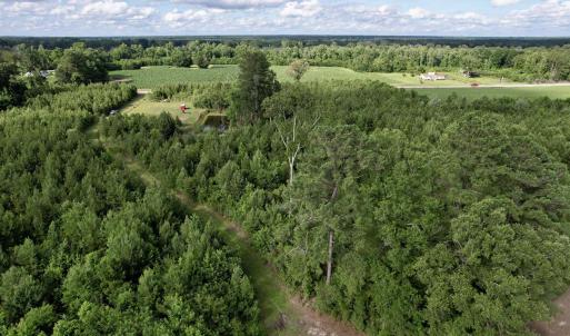 Photo #27 of 85± Acres - Muddy Creek Rd., Johnsonville, SC 85.0 acres
