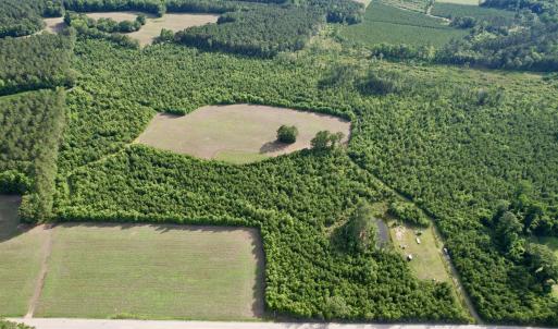 Photo #21 of 85± Acres - Muddy Creek Rd., Johnsonville, SC 85.0 acres